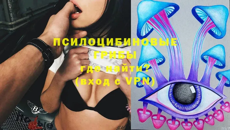 Псилоцибиновые грибы Magic Shrooms  Горбатов 